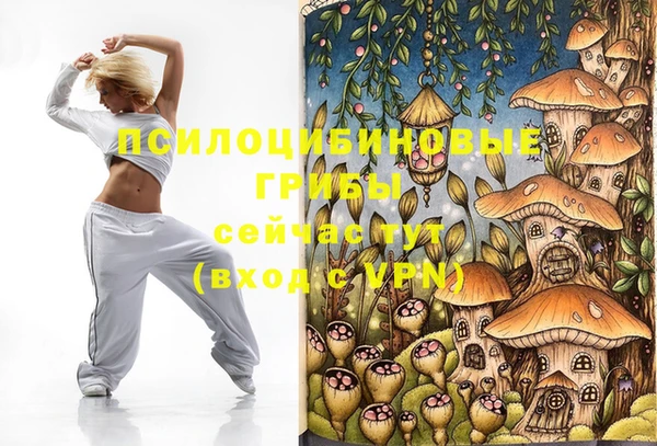 jwh Бикин