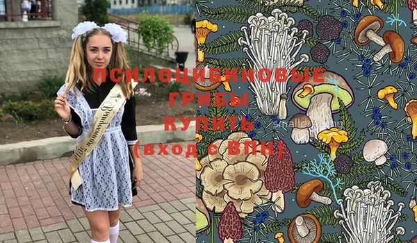 круглые Новозыбков