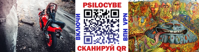 хочу   Макушино  Галлюциногенные грибы Magic Shrooms 